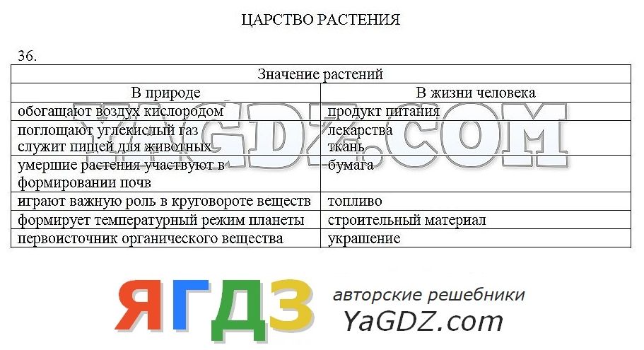 Биология 6 класс рабочая тетрадь ответы пасечник тренировочная задание