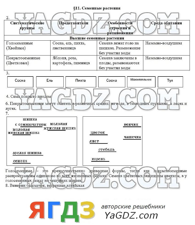 Гдз по биологии 6 класс рабочая тетрадь пасечник линия жизни