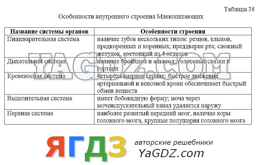 Таблица “Строение млекопитающих” (7 класс) – …